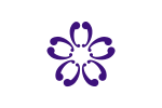 Flag of Sakura, Chiba